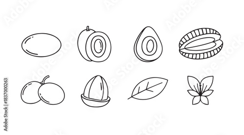 Fresh tropical fruits and flower sketch set hand drawn organic food elements vector