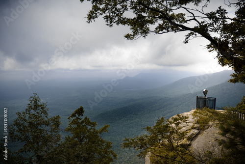 Canvastavla Dramatic clifftop view of a vast, misty green valley under a heavy, moody sky