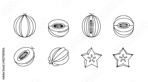 Hand drawn fruit collection fresh ripe produce line art healthy food elements outline art vector