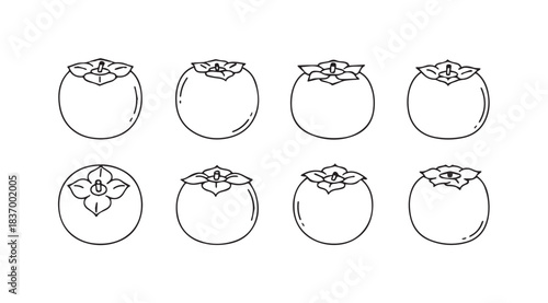Hand drawn sketch collection of ripe persimmon fruit organic food elements for design vector