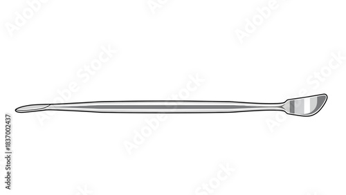 A slender flat laboratory spatula with a pointed end and a rounded end