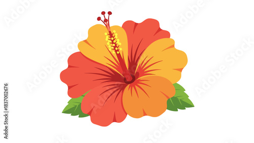 A vibrant hibiscus flower with red orange and yellow petals and green leaves
