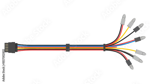 A wire harness with a connector at one end and multiple leads at the other
