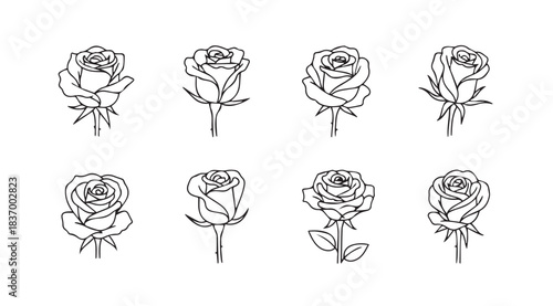 Collection of eight hand-drawn rose line art sketches for romantic designs vector