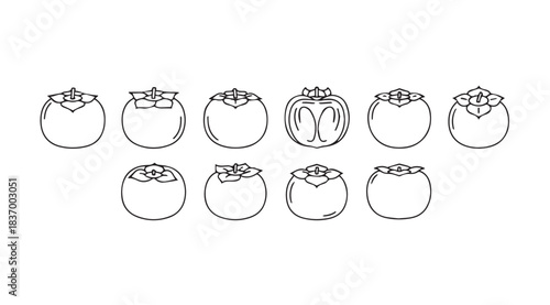 Collection of hand drawn stylized persimmons fruit outline drawings isolated elements vector