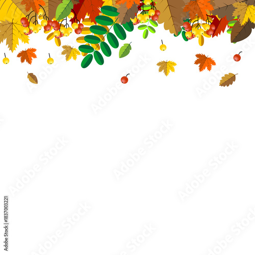 Thanksgiving Autumn Fall Border with Berries