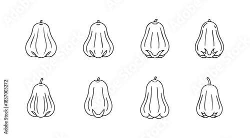 Hand drawn collection of various pumpkins and gourds with sketchy outline for autumn harvest season vector