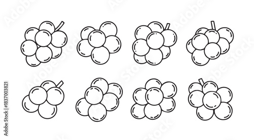 Fresh hand drawn sketch grapes collection food organic fruit botanical artwork simple art vector