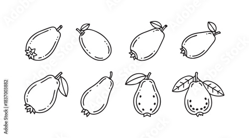 Hand drawn guava fruits sketch set whole and halved organic food elements isolated on white vector