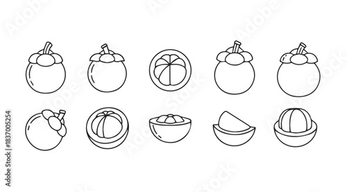 Collection of hand-drawn coconut illustrations showing whole and halved tropical fruit elements vector