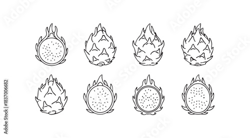 Collection of fresh green dragon fruit halves and slices isolated on healthy exotic fruit vector