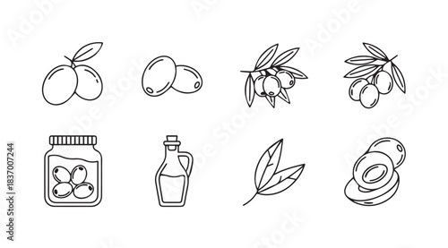 Hand drawn olive oil set featuring whole olives branches and bottles for healthy lifestyle designs vector