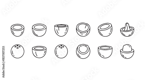 Collection of hand-drawn coconut icons various stages of opening and preparation vector