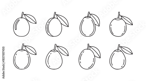 Hand drawn sketch collection of fresh oranges with leaves various angles and styles vector