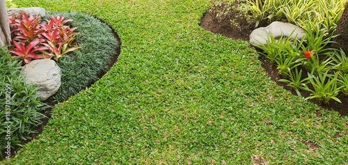 Foto Close-up of a well-maintained green lawn with a curved border, surrounded by vibrant plants and natural rocks in a sunny garden landscape