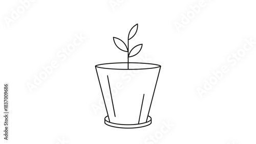 Black and white line drawing of a potted plant