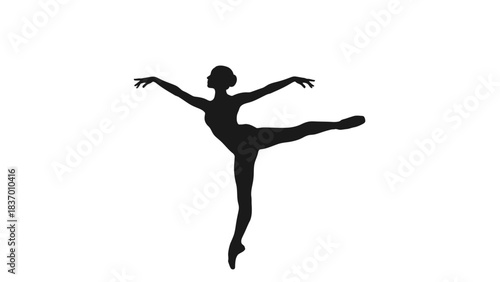 Silhouette of a ballet dancer in graceful pose.