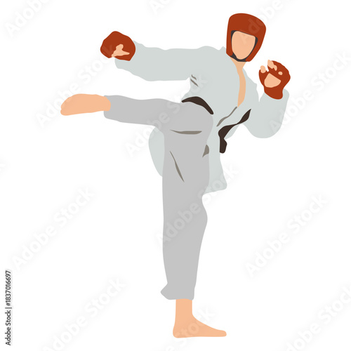 male taekwondo fighter in kicking stance