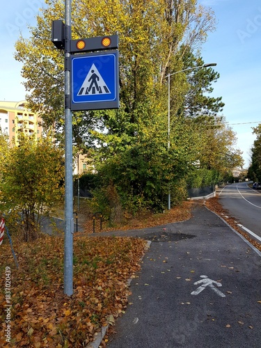 Traffic sign on a city street with autumn leaves in the background