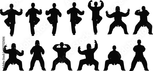 Martial arts silhouette poses, Kung Fu Tai Chi stances, training movement balance discipline form, flat vector