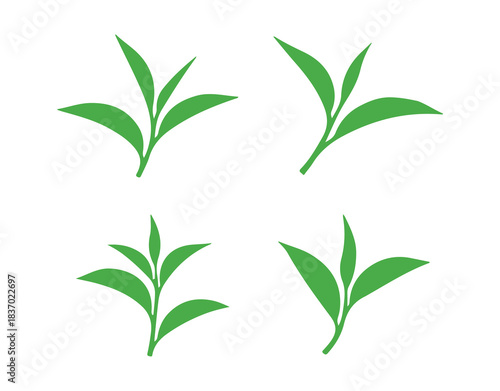 A collection of vector illustrations featuring green tea leaves

