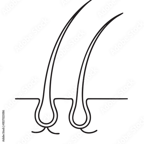 Hair follicle icon linear vector illustration showing human hair growth and structure