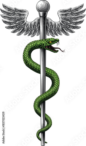 Rod of Asclepius staff medical symbol. Snake around rod or wooden staff. Often mistakenly called Caduceus. Doctor medicine and health care icon. Vintage woodcut etching style. Also features wings.
