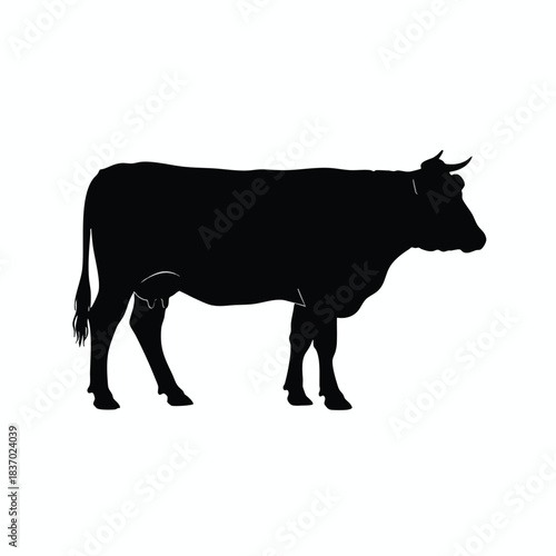 Black Cow Silhouette on White Background