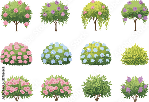 Flowering trees and bushes in twelve cartoon variants with diverse blossoms and foliage, botanical landscaping illustration, nature anatomy, white background