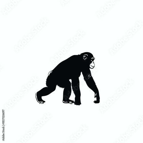 Silhouette of a Primate in Motion
