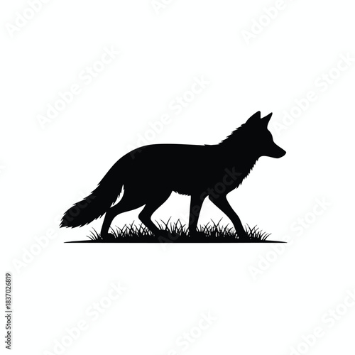 Silhouette of a Wild Canine Animal