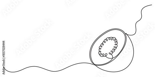 Kiwi fruit whole and a half in continuous line art drawing style, Continuous line drawing of kiwi. Minimalist design for kiwi fruit and refreshment themes. Continuous line drawing of kiwi.