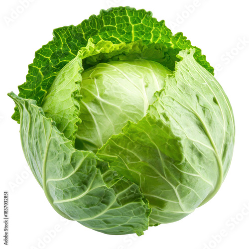 Head of cabbage isolated on transparent background