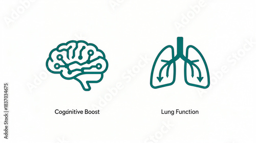 Brain lung elements represent the health concept of enhancing cognition and improving lung function, and are suitable for health management promotional materials.
