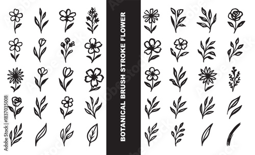 Ultimate Botanical Brush Stroke Vector Mega Set: Hand Drawn Black and Colorful Floral & Foliage Collection