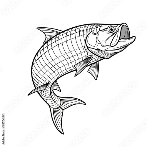A dynamic illustration of a tarpon fish jumping, rendered in black and white line art style
