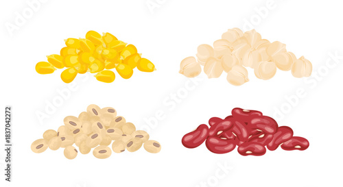 Corn seed, red beans, soy and chickpea. Set of grain heaps Vector cartoon flat illustration.