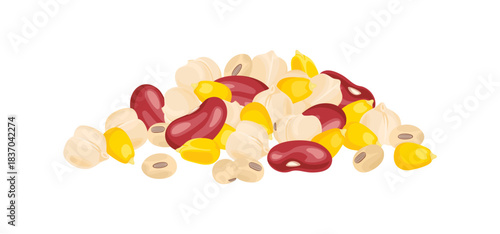 Heaps of various seeds. Corn, red beans, soybeans, and chickpeas isolated on white background. Vector flat cartoon illustration. Healthy food icon.