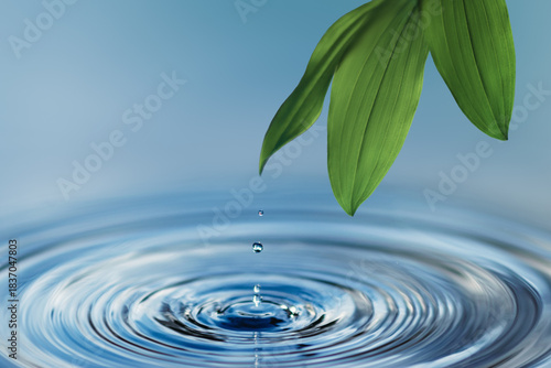 A green leaf and a falling drop of water over a calm surface—a concept of purity, nature, ecology, harmony, spa, and balance.