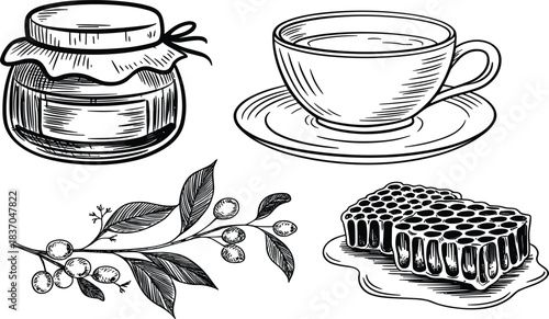 Detailed black vector set of vintage honey jar, teacup, honeycomb, and berry branch, symbolizing organic food, breakfast, and natural health
