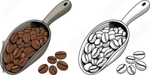 Detailed vector engraving of coffee beans in a scoop, perfect for cafe menu design, organic food, sketch drawing, and beverage industry graphics