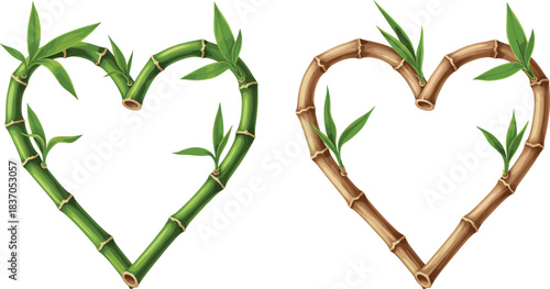 Two Natural Bamboo Heart Frames, Green and Dry Wood Stalks with Leaves, Sustainable Love and Nature Concept Border, Asian Eco-Friendly Vector Graphic Decoration for Design Projects.