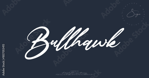 A strong and dynamic brush script with rugged energy and bold character.
