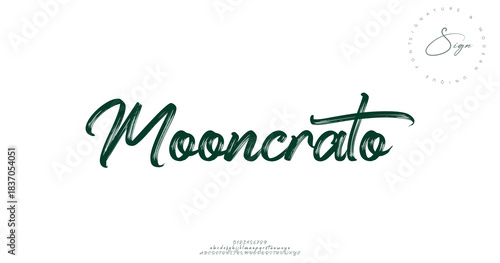 A whimsical script font inspired by moonlit strokes and playful curves.