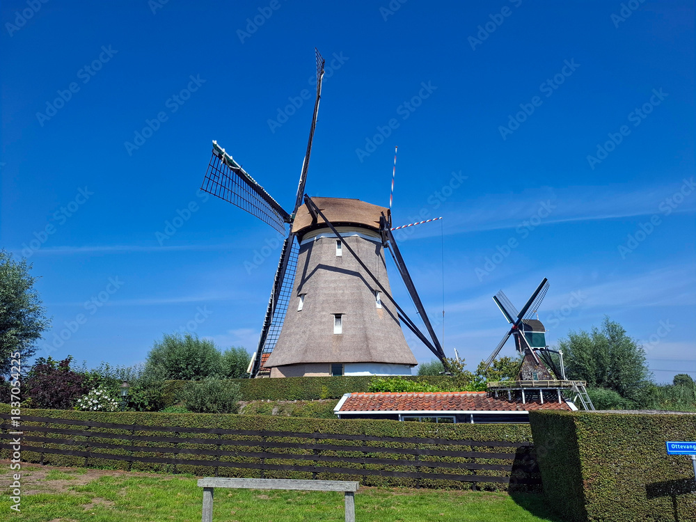 Obraz premium Old-fashioned windmills in a windmill quadrangle in Zevenhuizen