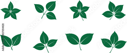 Set of various green leaf icons and simple botanical illustration