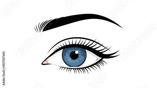 A closeup illustration of a blue eye with thick black eyelashes and eyebrow