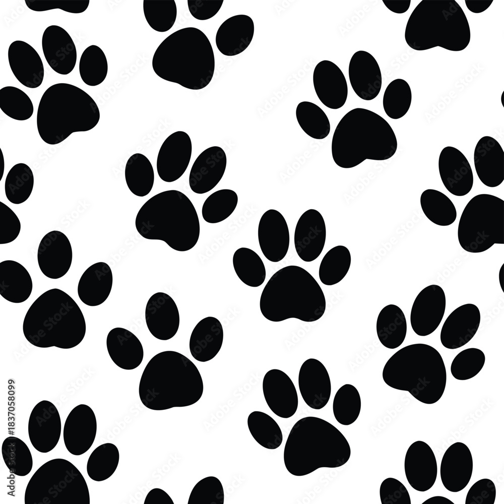 Fototapeta premium black and white cats