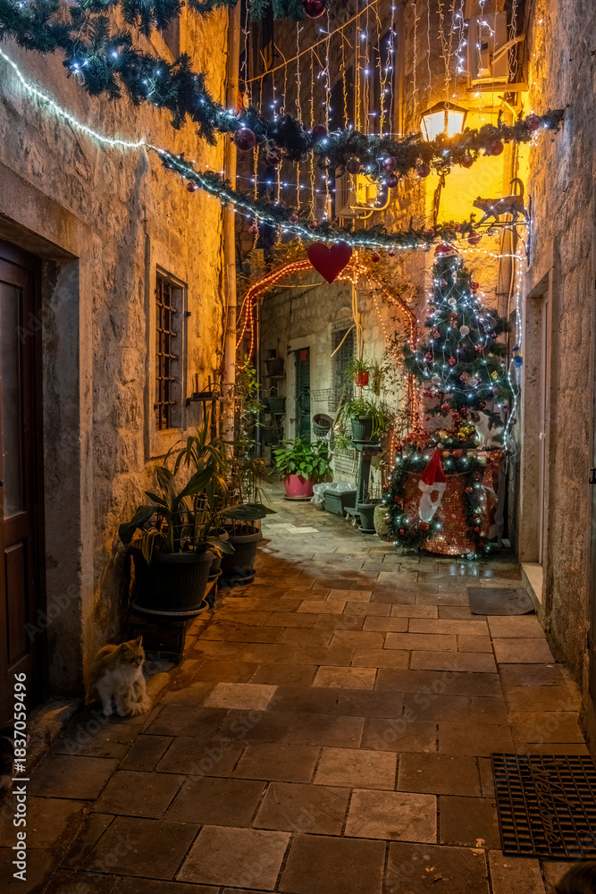 Fototapeta premium Narrow alley with cats decorated with garland and string lights in Kotor