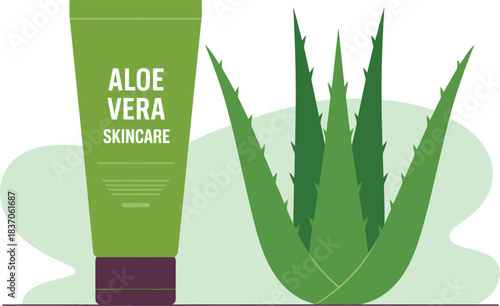 Aloe vera skincare benefits uses products natural remedy topical gel